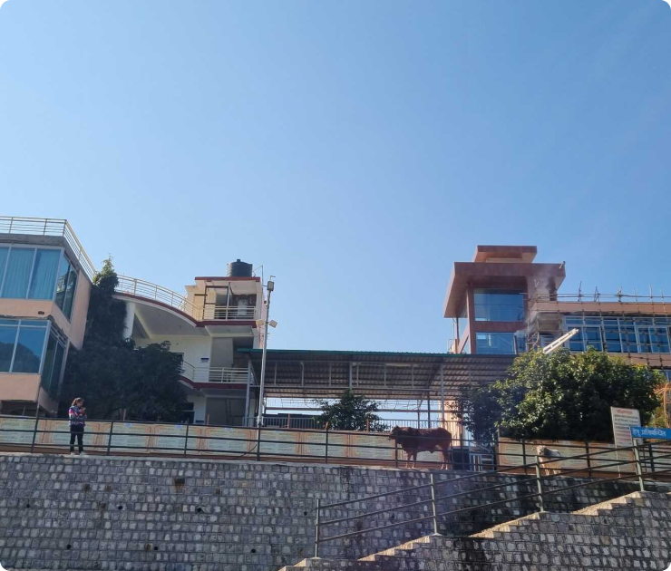 A serene pathway within the ashram premises.